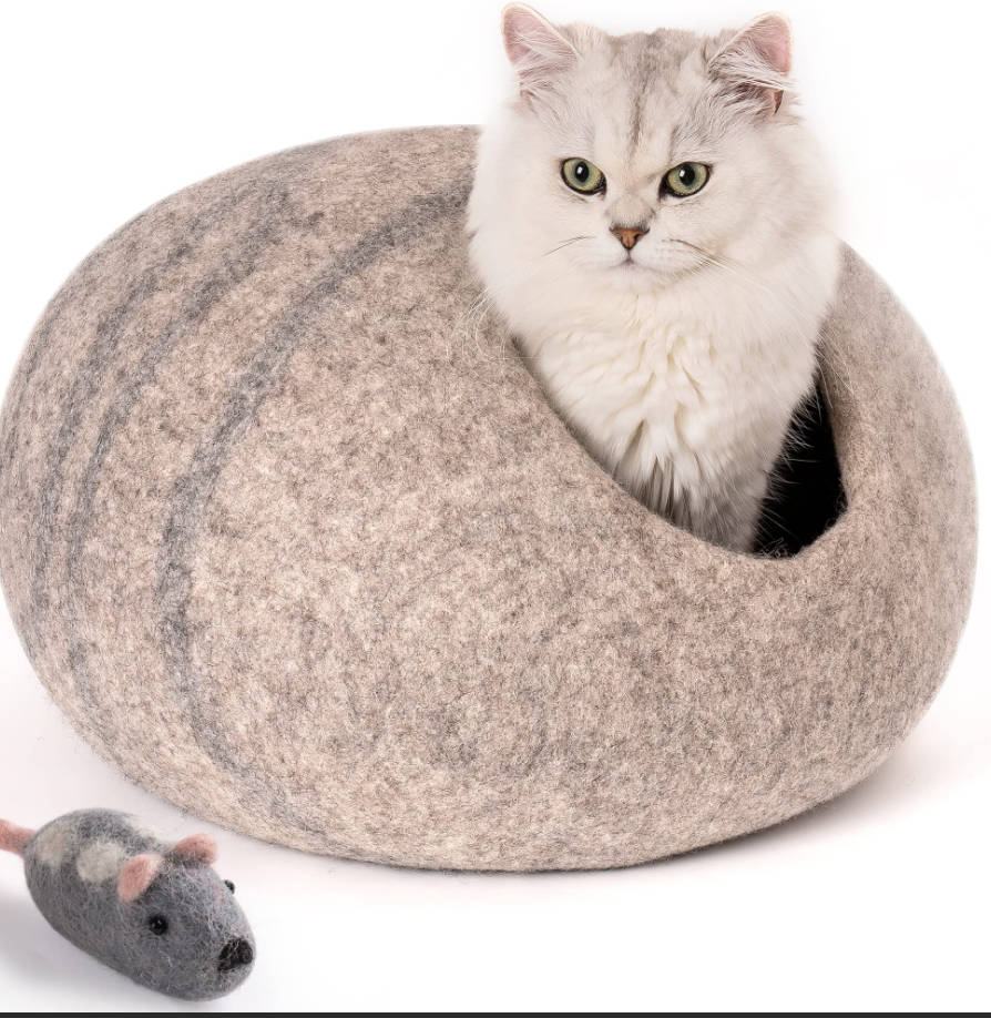 static/picture/pet-cat3.jpg